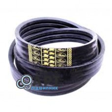 0224223 Багатоклиновий ремінь Gates