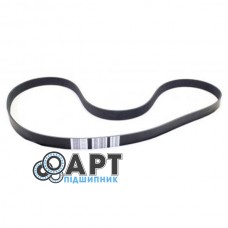 067290 Багатострумковий ремінь CLAAS