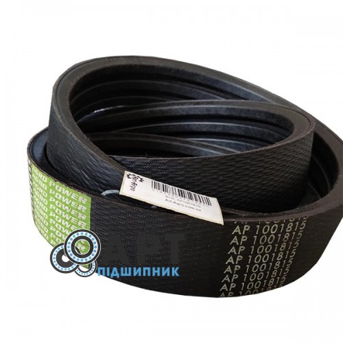 AP1001815 Optibelt