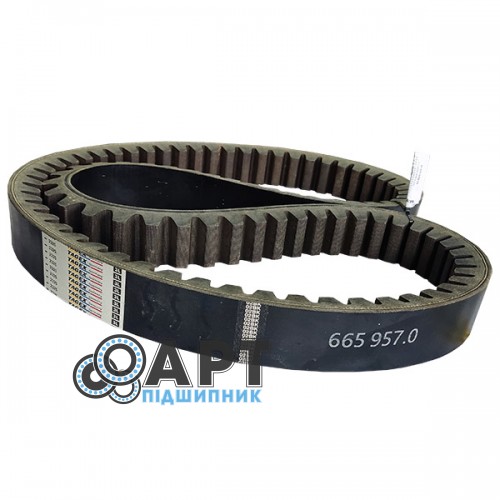 665957.0 Ремінь варіатора 57х30-2310La TAGEX