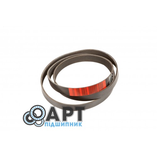 796998 Багаторучний ремінь CLAAS