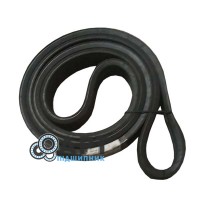 84254480 Трьох струмковий ремінь CNH