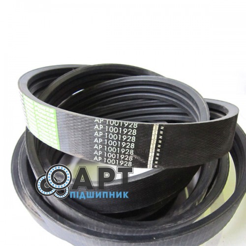 Багатострумковий ремінь Optibelt 1001928