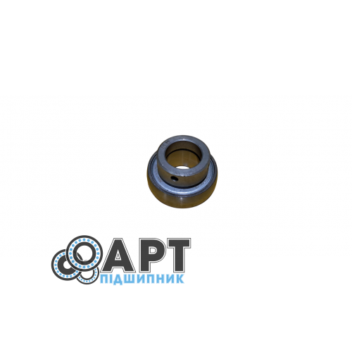 RALE20-NPP-B INA Підшипник