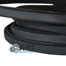 0302179 Одноручейний ремінь Optibelt