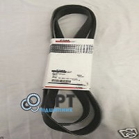 84373502 Багато струмковий ремінь CNH