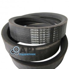 2RHB56 Двострумовий ремінь Carlisle