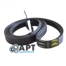 2823241 Багатоклиновий ремінь Gates