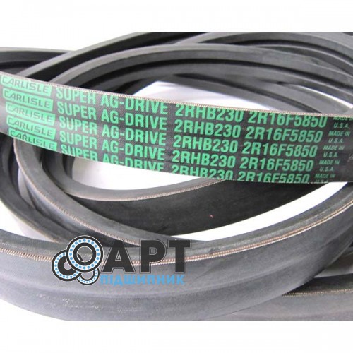 2RHB230 Ремінь двухручейний Carlisle