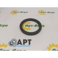 80x100x10 Сальник