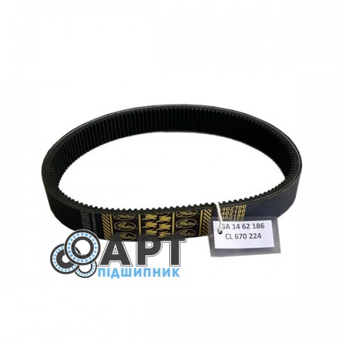 1462186 (670224) Ремень Gates