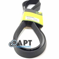 R503505 Ремінь багатострумковий John Deere