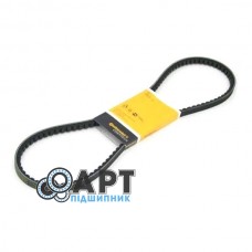 AVX13x1125 Ремінь зубчастий Contitech