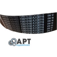 F06010160 Ремінь многоручейний Gaspardo Carlisle