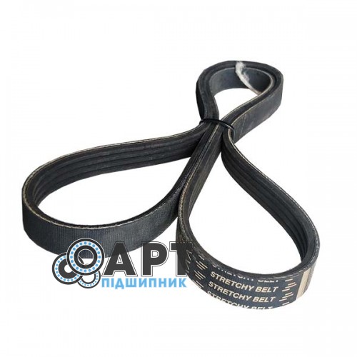 504145203 багатострумковий ремінь Stretchy Belt