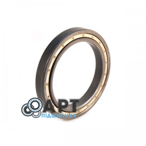 1000922 ГОСТ Підшипник однорядний кульковий