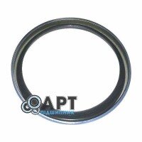 BN302044 Сальник (Без упаковки) CNH