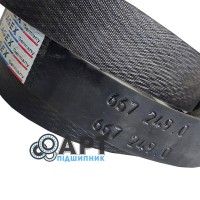 667249 - T Двохструмковий ремінь Tagex
