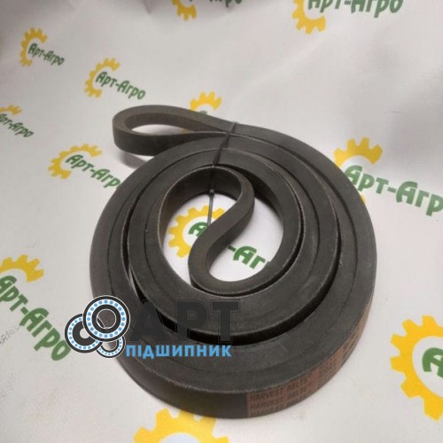 713506.2 Ремінь одноручейний Sanok