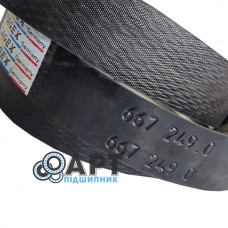 667249 - T Двохструмковий ремінь Tagex