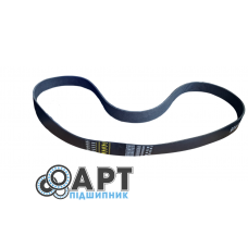 0286295 Багаторучний ремінь Gates