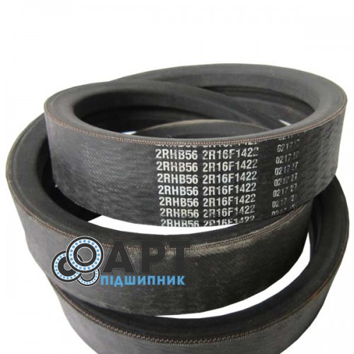 2RHB56 Двухручейний ремінь Carlisle