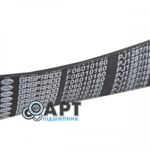 F06010160 Ремінь багаторучний Gaspardo Gates